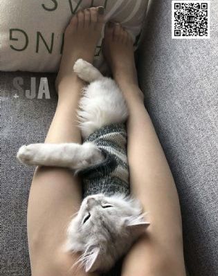 妈妈的朋友三级电影_DVD在线观看视频